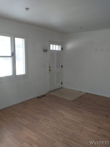 entryway featuring wood-type flooring