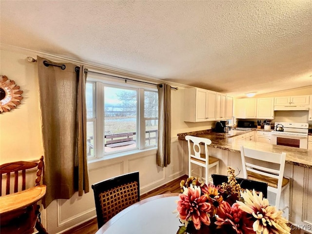 dining room featuring crown molding, dark hardwood / wood-style flooring, and a textured ceiling