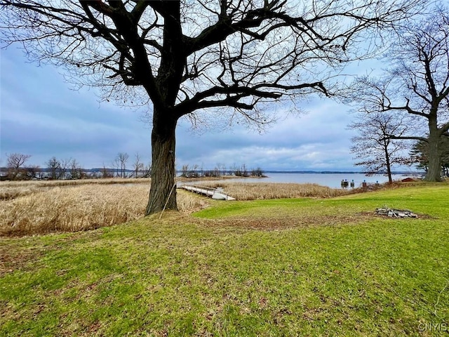 view of yard with a water view