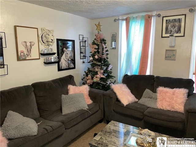 living room with a textured ceiling