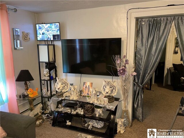267 Lake Shore Dr E, Dunkirk, NY 14048 - photo 11