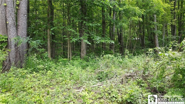 0 Dewey Ave, North Collins, NY 14111