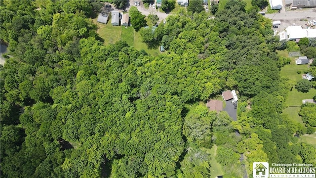 0 Dewey Ave, North Collins, NY 14111