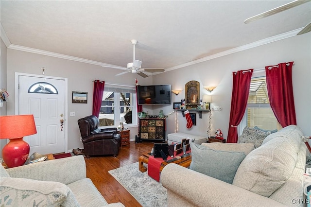 living room featuring a healthy amount of sunlight, crown molding, ceiling fan, and wood-type flooring