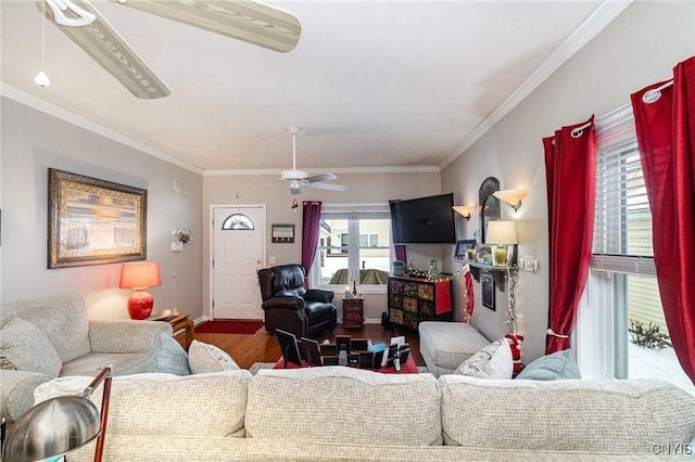 living room featuring wood-type flooring, plenty of natural light, crown molding, and ceiling fan