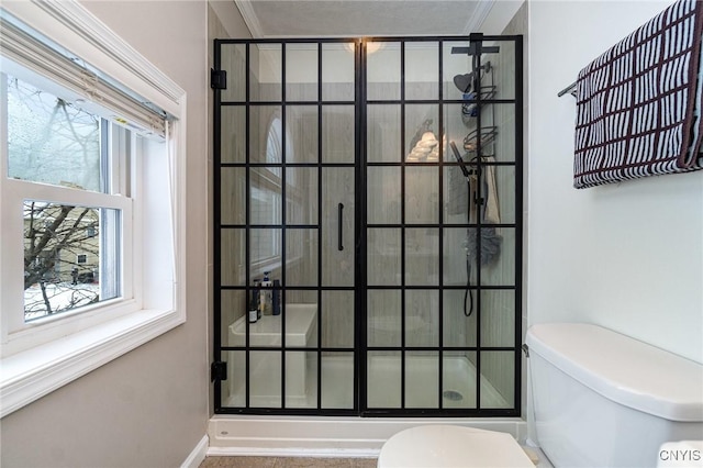 bathroom featuring toilet and ornamental molding