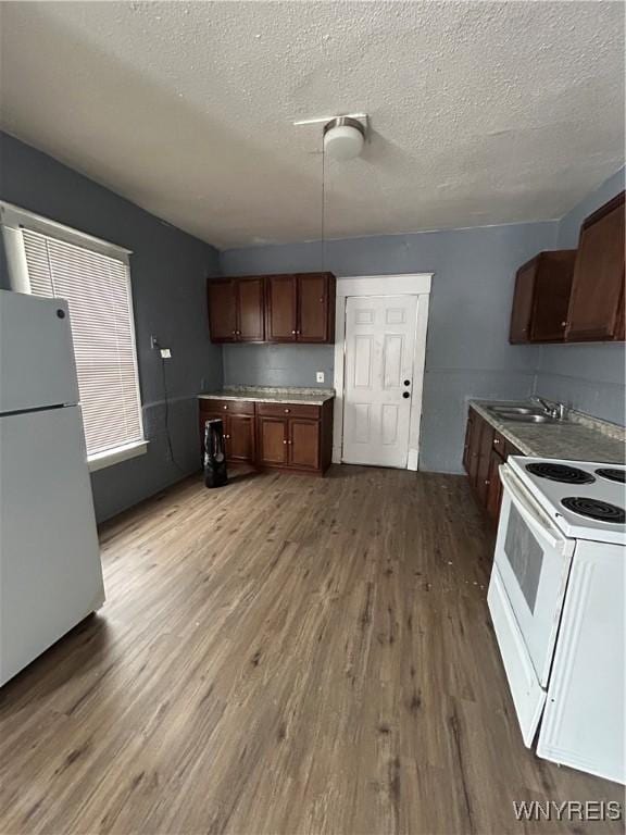 kitchen with hardwood / wood-style flooring, white appliances, sink, and a textured ceiling