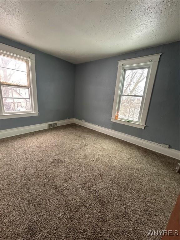 spare room with carpet, a healthy amount of sunlight, and a textured ceiling