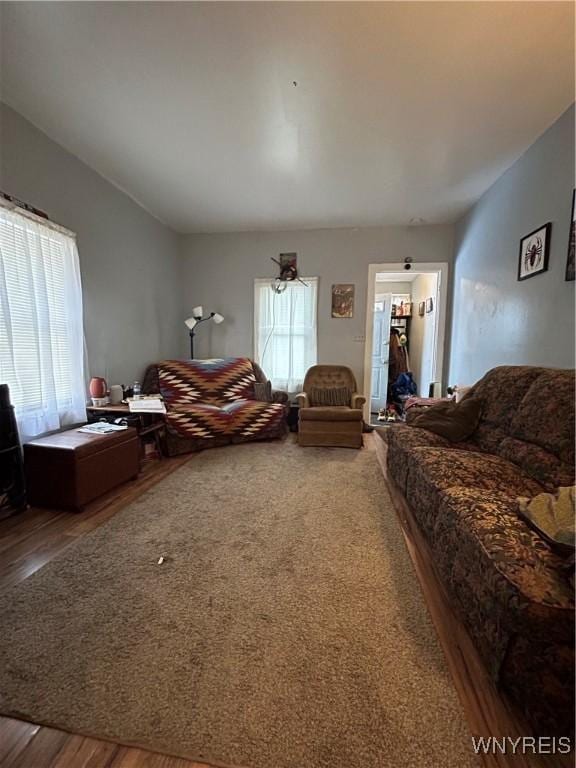 living room with hardwood / wood-style floors and plenty of natural light