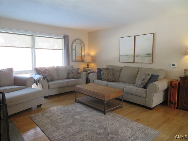 living room featuring hardwood / wood-style floors