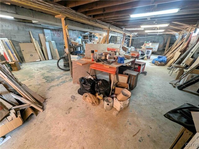 7909 County Route 333, Thurston, NY 14821 - view of unfinished below grade area