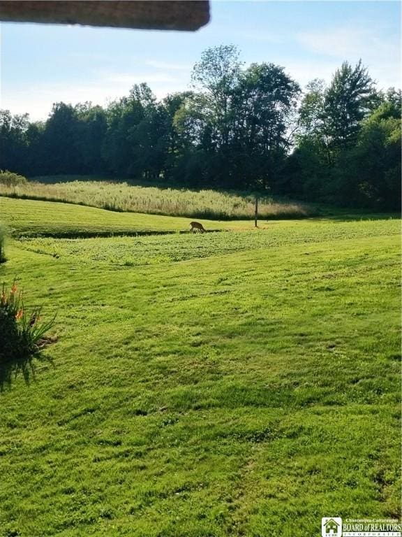 view of yard featuring a rural view