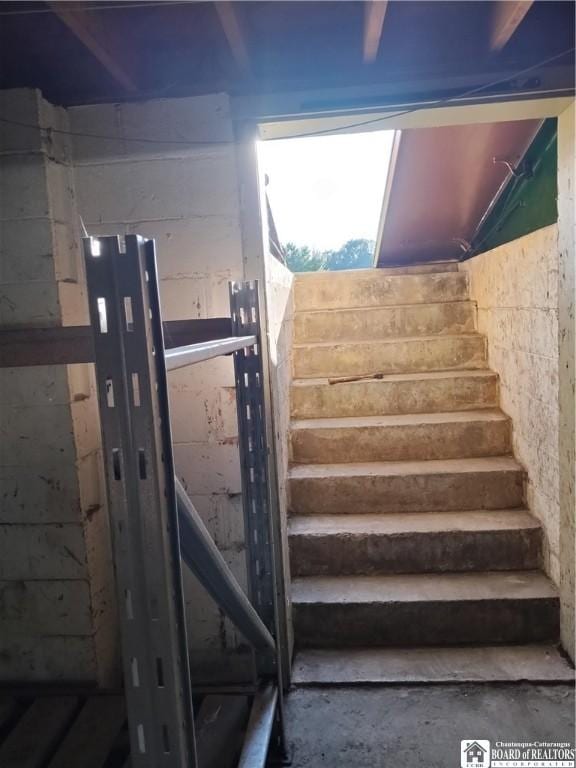 355 New Buffalo Rd, French Creek, NY 14724 - stairway with unfinished concrete flooring