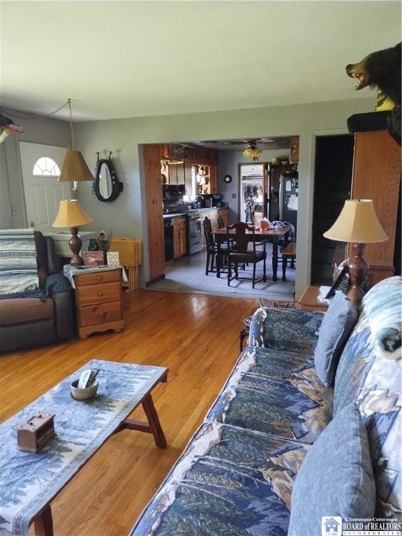 living room with hardwood / wood-style flooring and ceiling fan