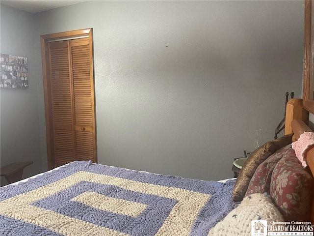 355 New Buffalo Rd, French Creek, NY 14724 - bedroom with a closet