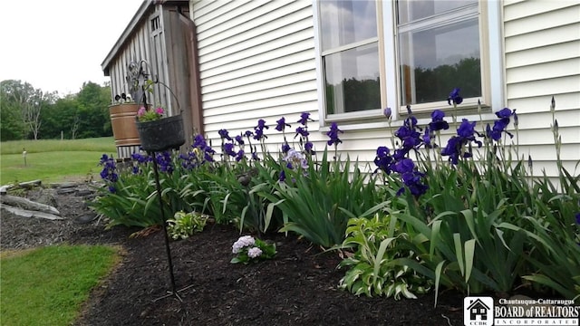 355 New Buffalo Rd, French Creek, NY 14724 - view of home's exterior