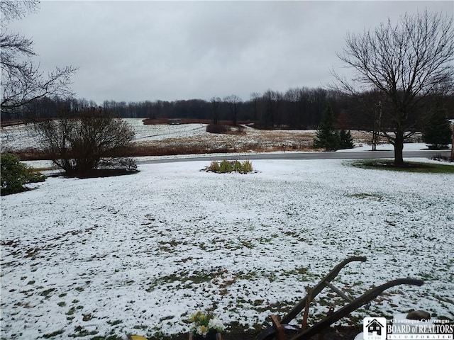 view of yard covered in snow