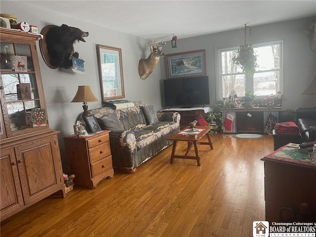 living room with light hardwood / wood-style floors