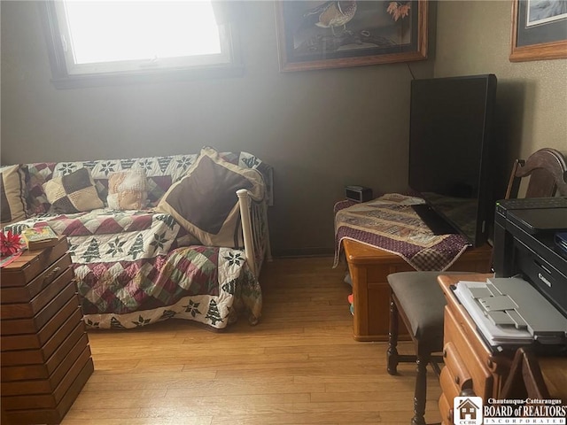 bedroom featuring light hardwood / wood-style floors