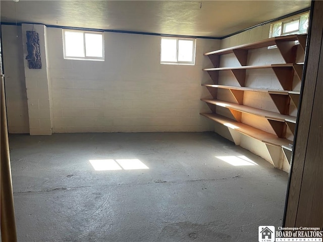355 New Buffalo Rd, French Creek, NY 14724 - basement featuring concrete block wall