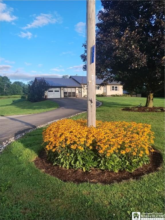 355 New Buffalo Rd, French Creek, NY 14724 - view of front of house featuring a front lawn and driveway
