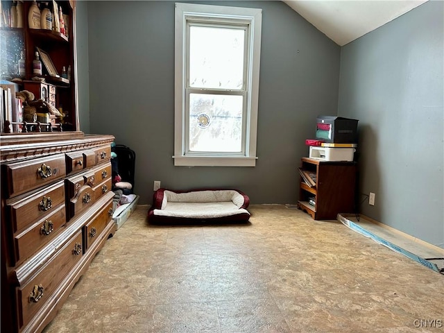 interior space with vaulted ceiling