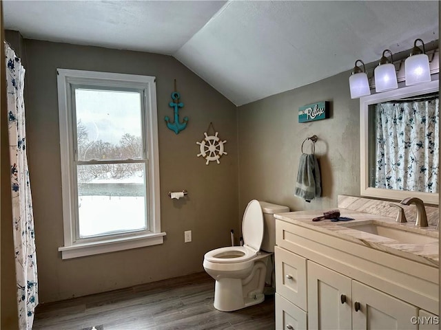 57 Liberty St, Adams, NY 13605 - bathroom with lofted ceiling, wood finished floors, vanity, and toilet