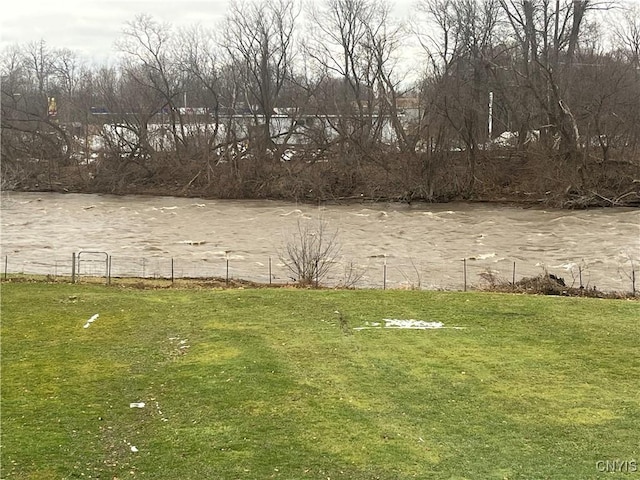 view of yard with a water view