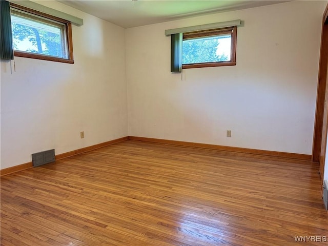 spare room featuring light wood-type flooring and plenty of natural light