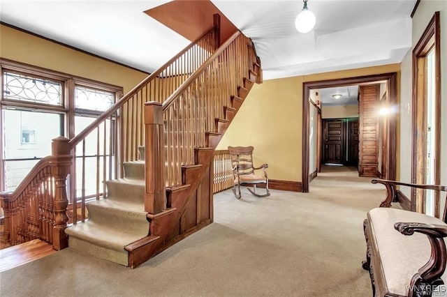 stairs featuring carpet flooring