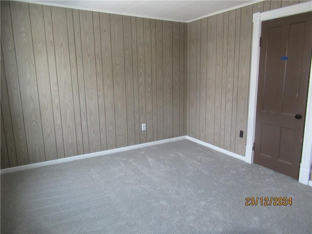 spare room featuring carpet flooring and wood walls