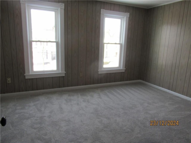 spare room with carpet flooring and wood walls