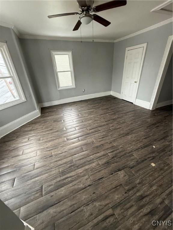 spare room featuring a wealth of natural light, crown molding, ceiling fan, and dark wood-type flooring