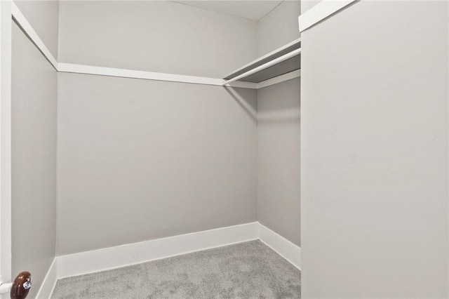 walk in closet with light colored carpet