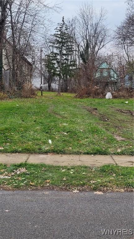 70 Montana Ave, Buffalo, NY 14211 - photo 1
