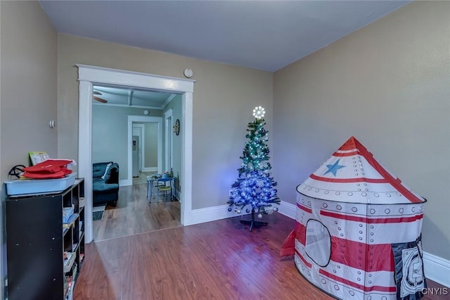 playroom with hardwood / wood-style floors