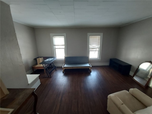 sitting room with dark hardwood / wood-style flooring