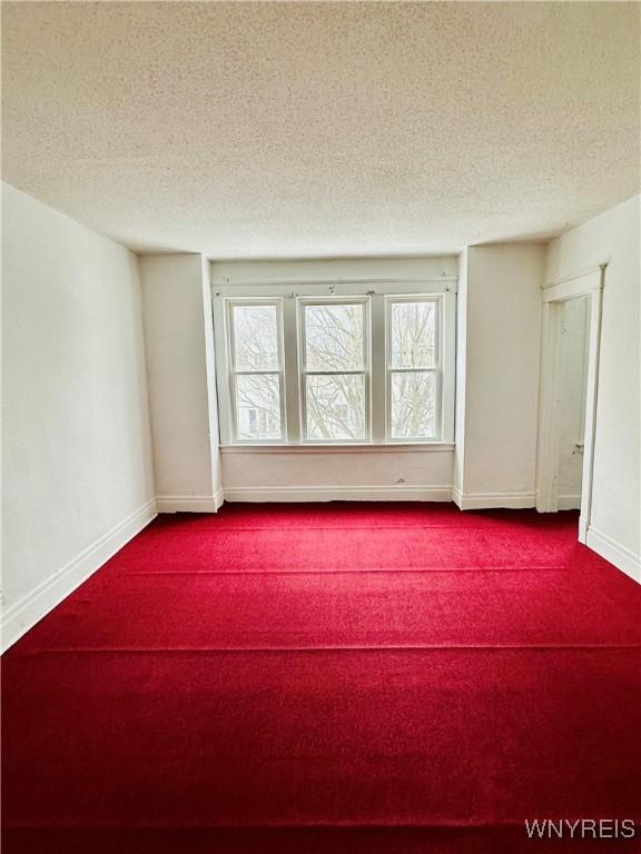 empty room featuring carpet flooring and a textured ceiling