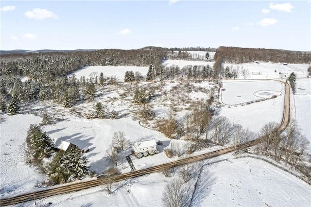 view of snowy aerial view