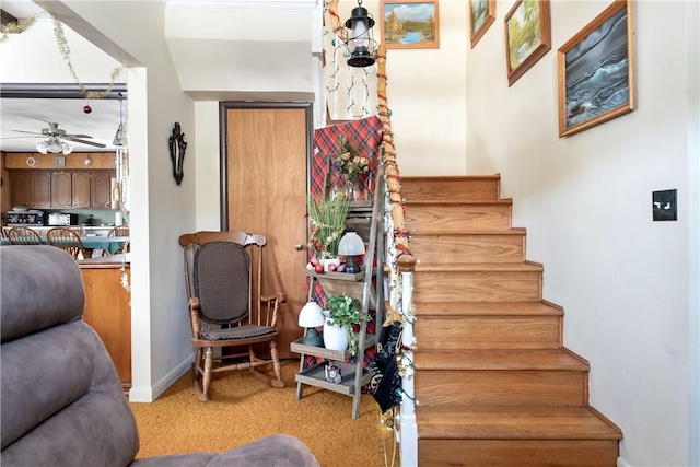 staircase featuring ceiling fan and carpet floors