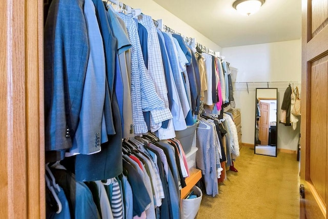 walk in closet with light colored carpet