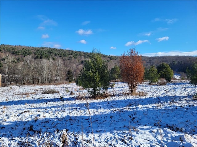 0 Mary Brown Hill Rd, Laurens, NY 13796