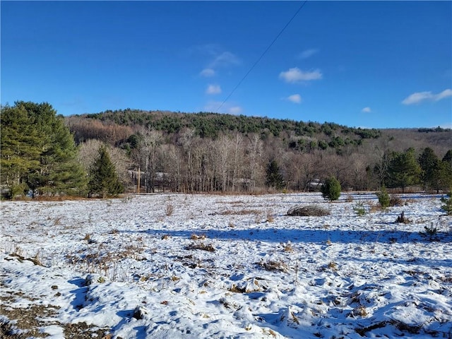 0 Mary Brown Hill Rd, Laurens, NY 13796