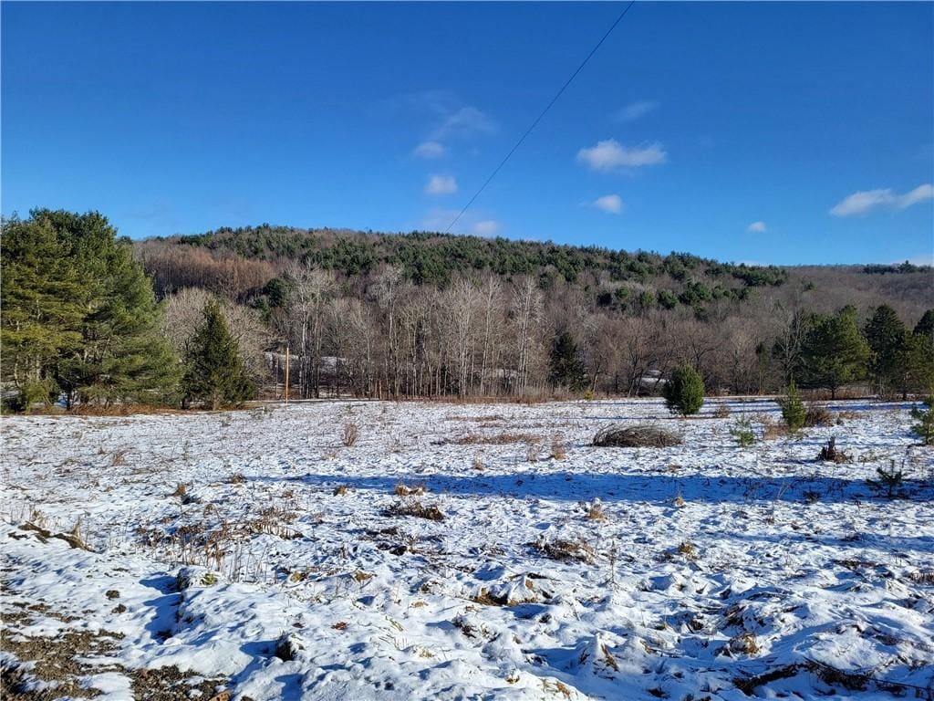 0 Mary Brown Hill Rd, Laurens, NY 13796 - photo 1