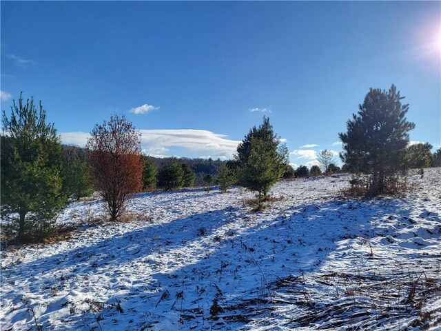 0 Mary Brown Hill Rd, Laurens, NY 13796