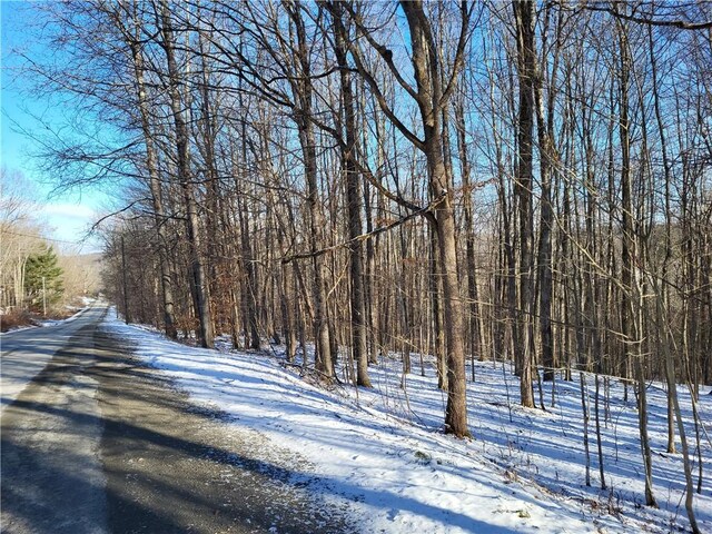 0 Mary Brown Hill Rd, Laurens, NY 13796