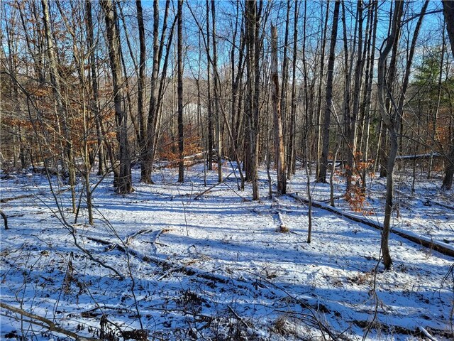 0 Mary Brown Hill Rd, Laurens, NY 13796