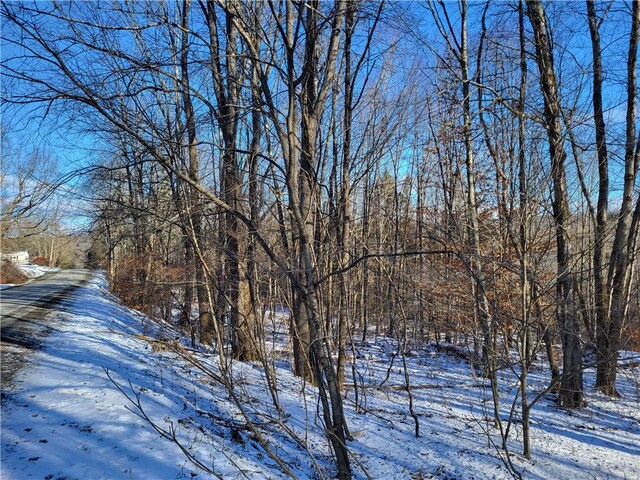 0 Mary Brown Hill Rd, Laurens, NY 13796