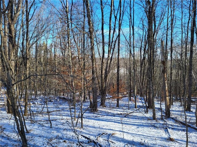 0 Mary Brown Hill Rd, Laurens, NY 13796