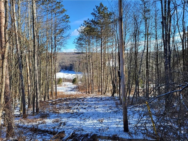 0 Mary Brown Hill Rd, Laurens, NY 13796